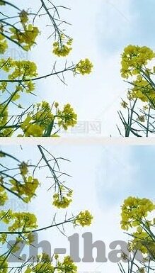 斗牌德州扑克吧-斗牌德州扑克，策略与智慧的博弈